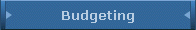 Budgeting